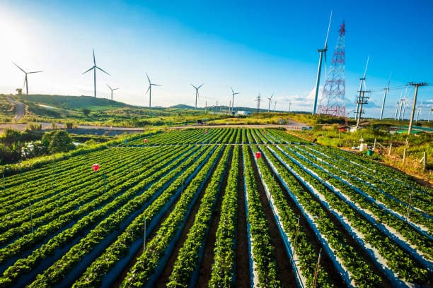 Sustainable Farming